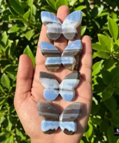 Blue Opal Butterfly
