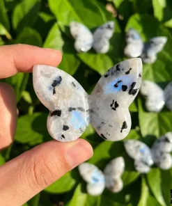 Rainbow Moonstone 3D Butterfly