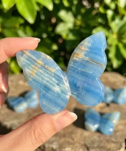 Blue Onyx 3D Butterfly