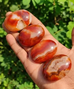 Carnelian Palm Stone | Natural Carnelian Crystal | Wholesale & Retail