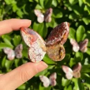 Crazy Lace Agate 3D Butterfly