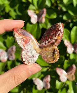 Crazy Lace Agate 3D Butterfly