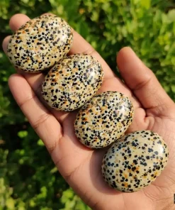 Dalmatian Jasper Palm Stone | Natural Gemstone