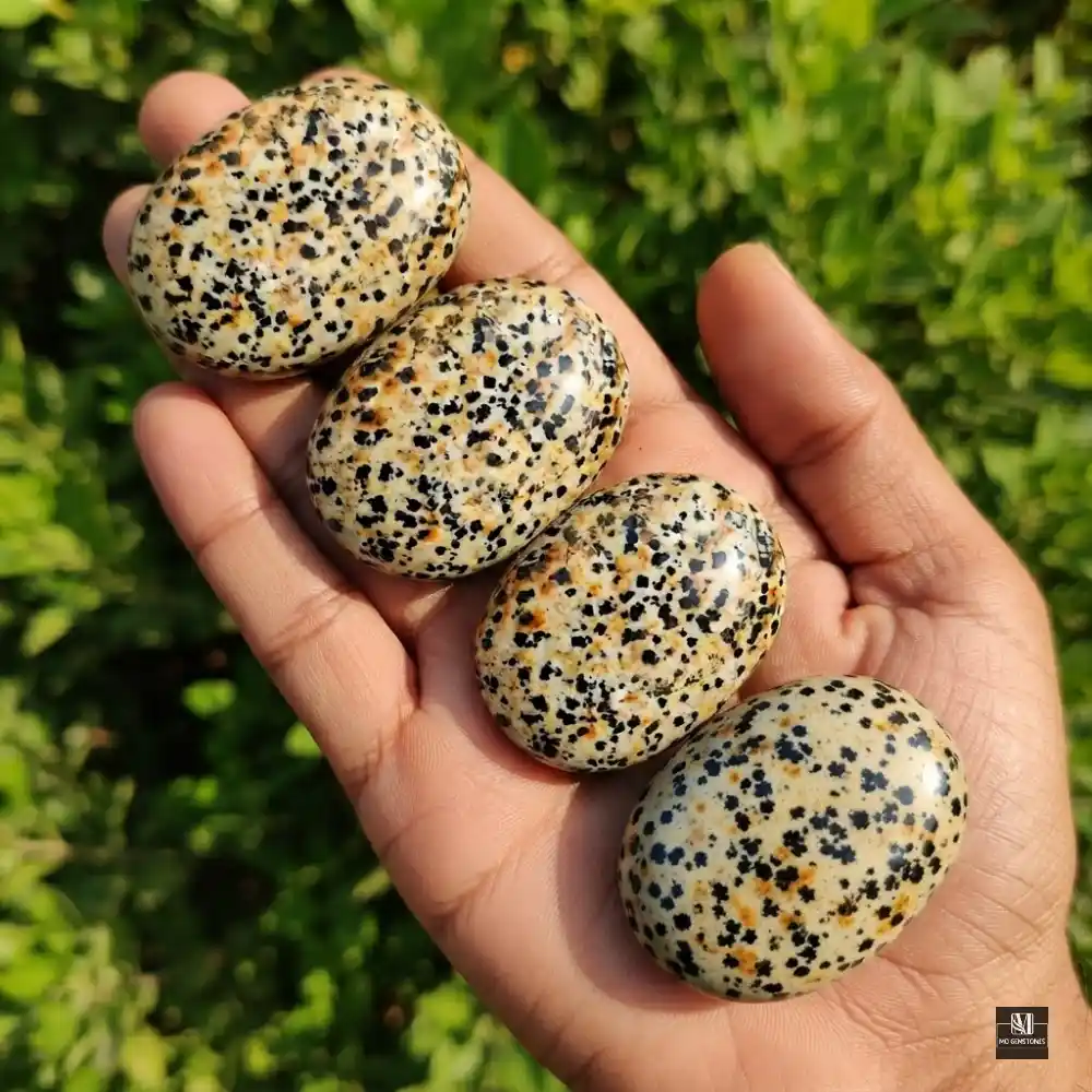 Dalmatian Jasper Palm Stone | Natural Gemstone