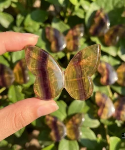 Rainbow Fluorite 3D Butterfly Carvings | Fluorite Crystal Butterfly