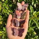 Mookaite Jasper 3D Butterfly Carvings
