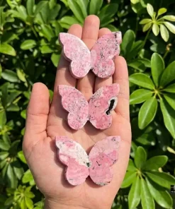 Rhodonite 3D Butterfly