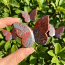 Jaspilite 3D Butterfly Carvings