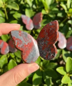 Jaspilite 3D Butterfly Carvings
