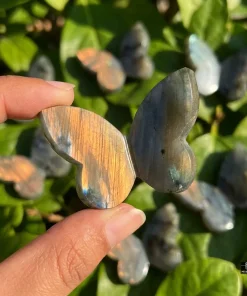 Labradorite 3D Butterfly Carvings