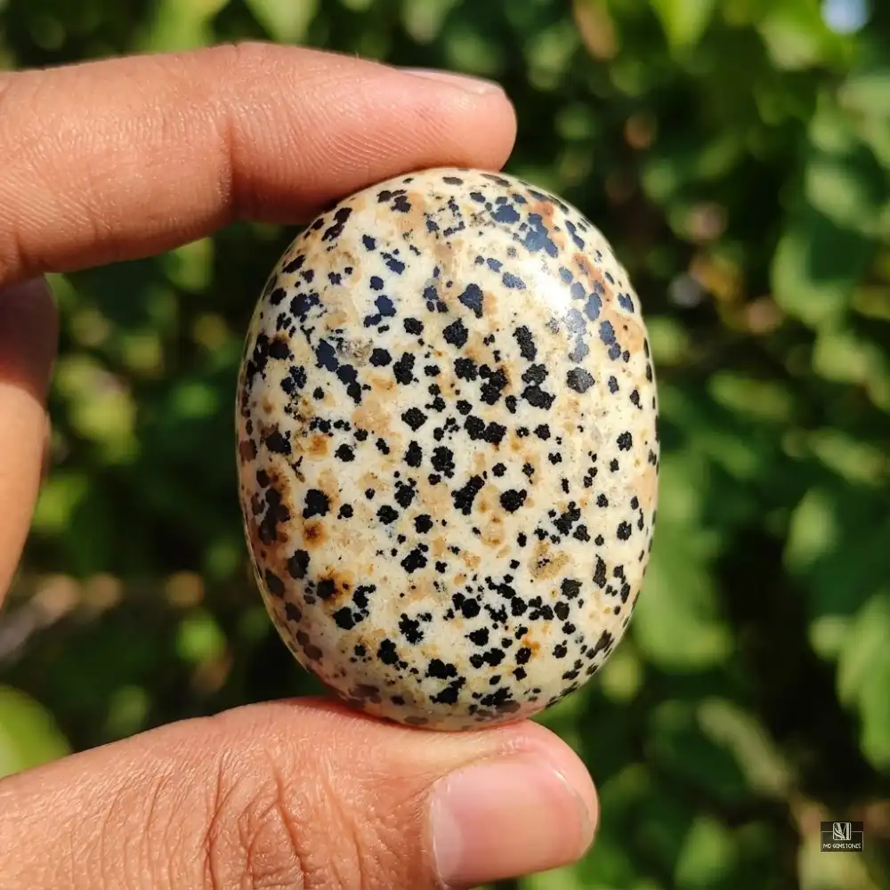 Dalmatian Jasper Palm Stone | Natural Gemstone - Image 5