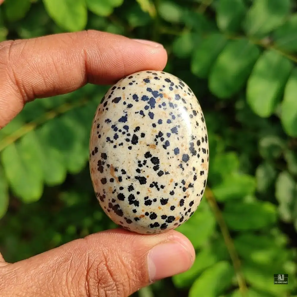 Dalmatian Jasper Palm Stone | Natural Gemstone - Image 4