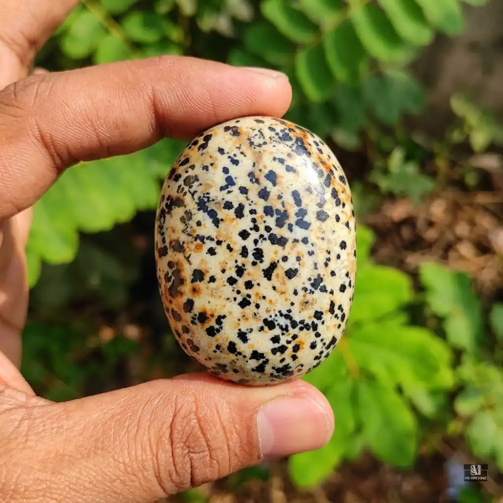 Dalmatian Jasper Palm Stone | Natural Gemstone - Image 3