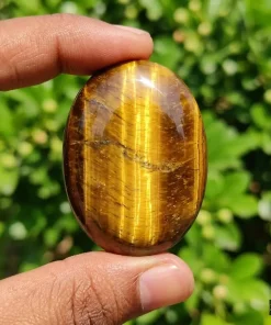 Tiger Eye Palm Stone |