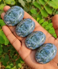 Moss Agate Palm Stone