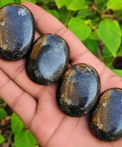 Nummite Palm Stone